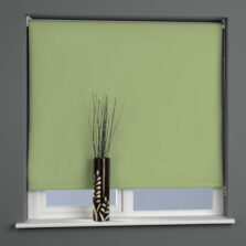 Plain Daylight Roller Blind Apple Green
