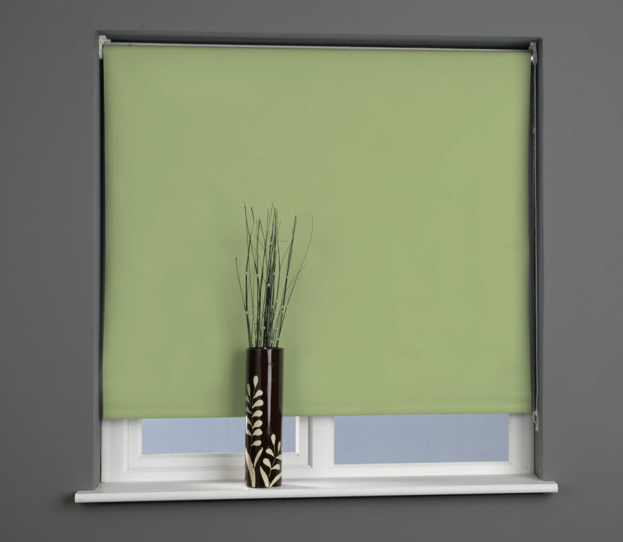 Plain Daylight Roller Blind Apple Green