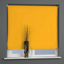 Plain Daylight Roller Blind Citrus Zest