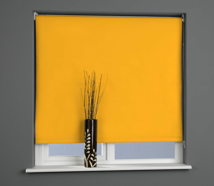 Plain Daylight Roller Blind Citrus Zest
