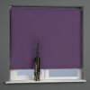 Plain Daylight Roller Blind Grape - Image 2
