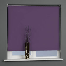Plain Daylight Roller Blind Grape