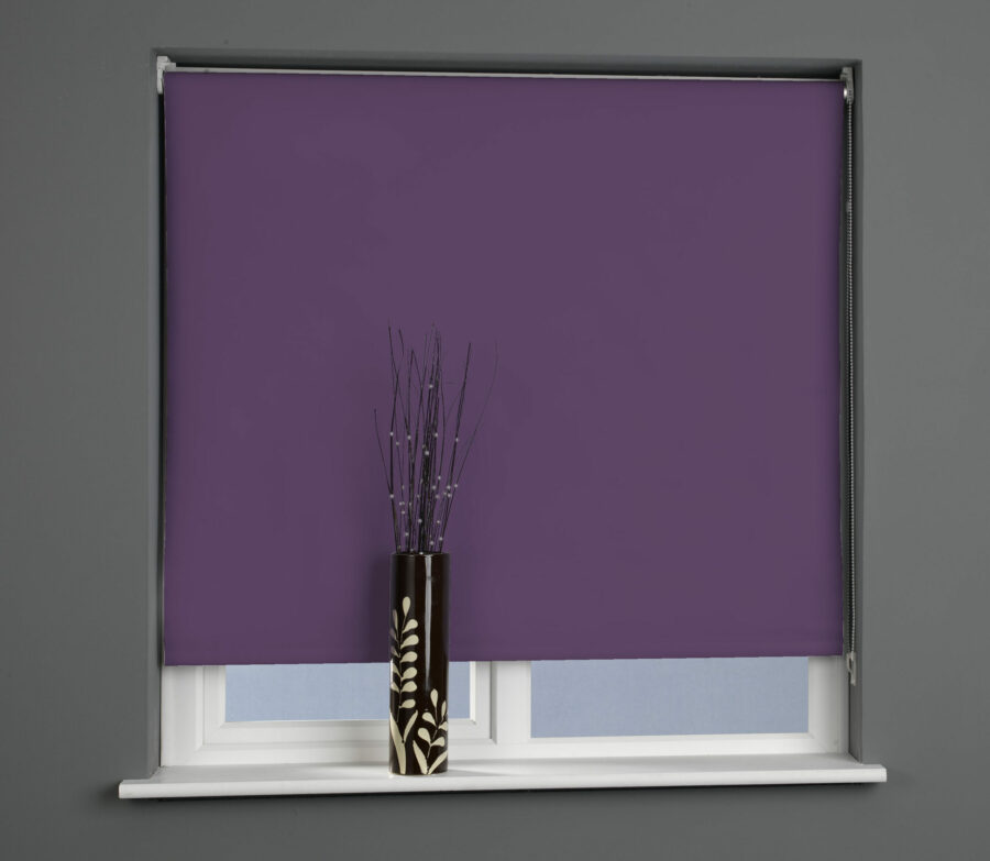 Plain Daylight Roller Blind Grape