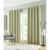 Richmond Green Eyelet Blockout Self Lined Ready Made Curtains - Image 2